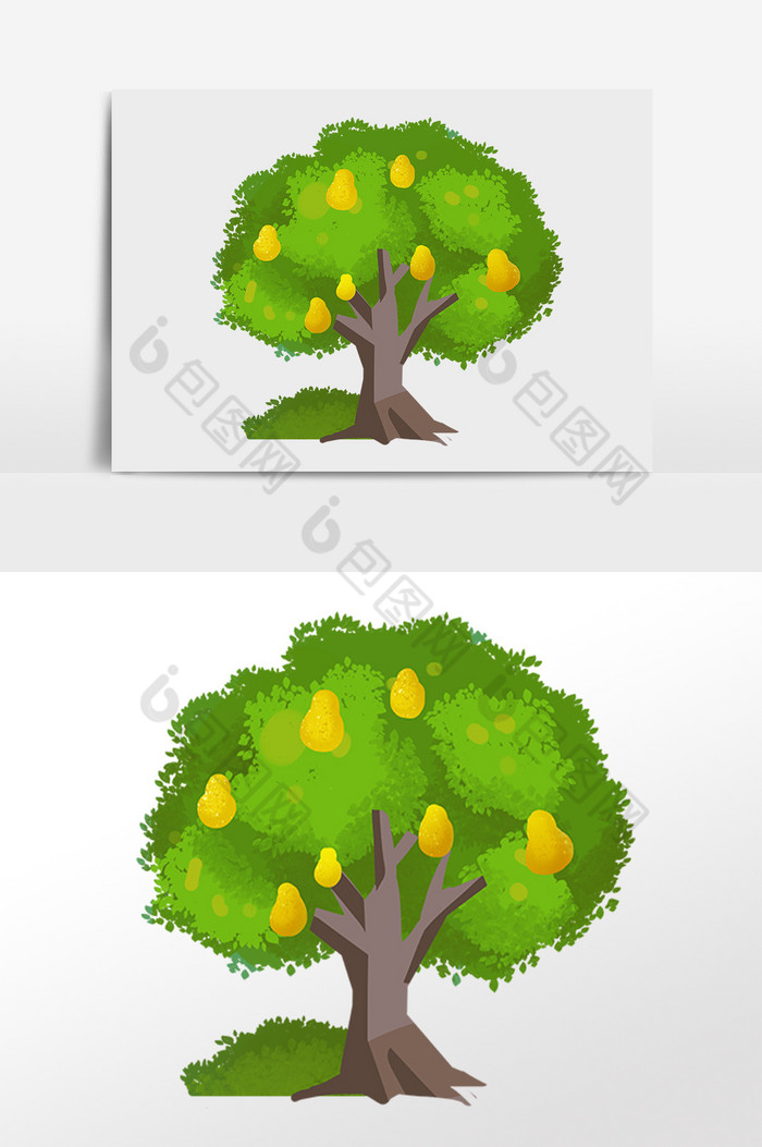 植物果树梨子树插画图片图片