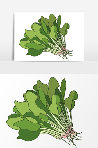 菠菜图片