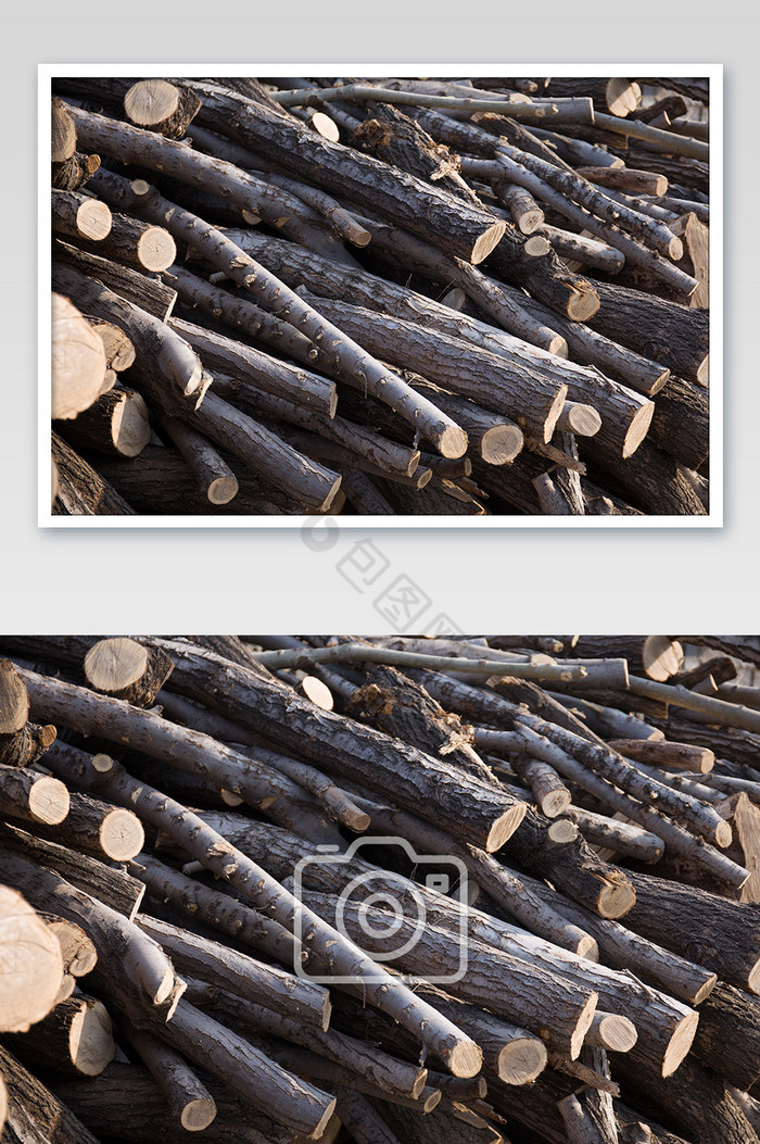 伐木木厂的树木半截木头图片图片