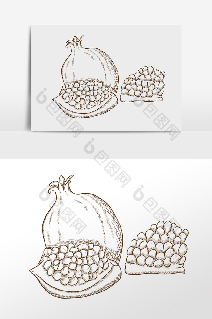 线描素描水果石榴插画图片图片