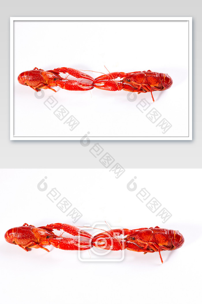 红色小龙虾麻辣白底图美食摄影图片图片
