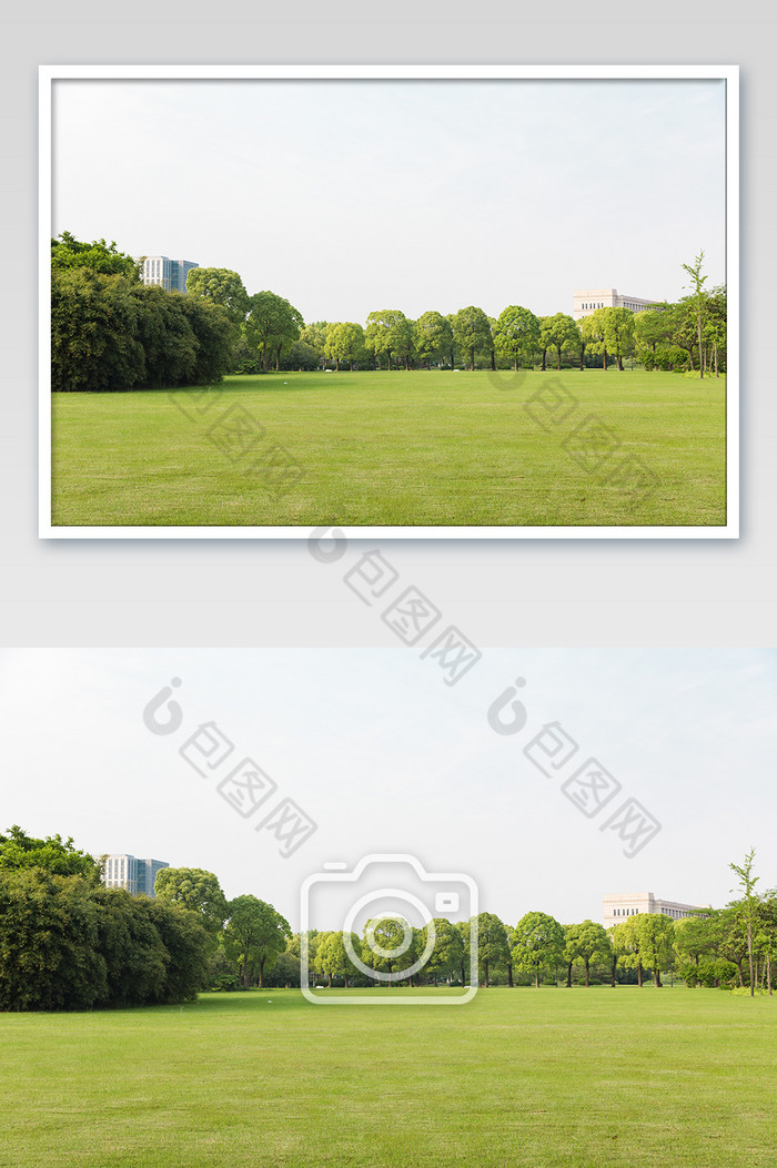 绿色自然草坪摄影图片图片