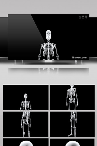 3组医学生物人体骨骼头部骨骼360度旋转图片