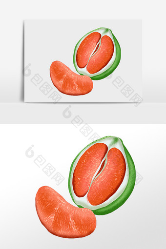 手绘夏季新鲜美味水果红心柚插画图片