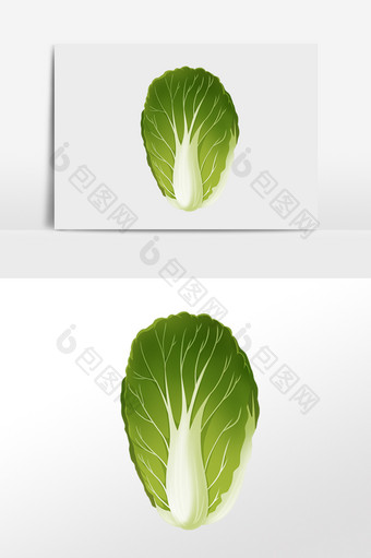 手绘绿色有机健康蔬菜白菜插画图片