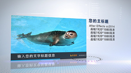 简洁大气蓝色调商务图片展示