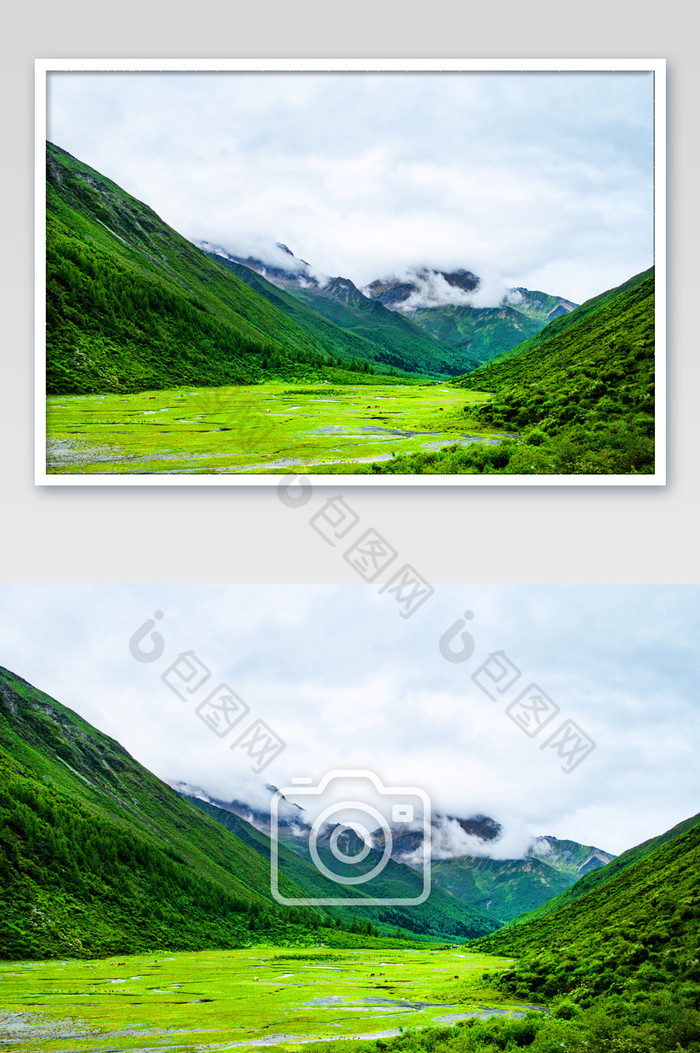 四川四姑娘山徒步旅行原始森林高原摄影图图片图片