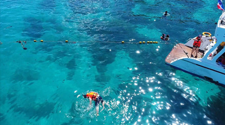 高空航拍在果冻色海洋里一个人浮潜寻找鱼