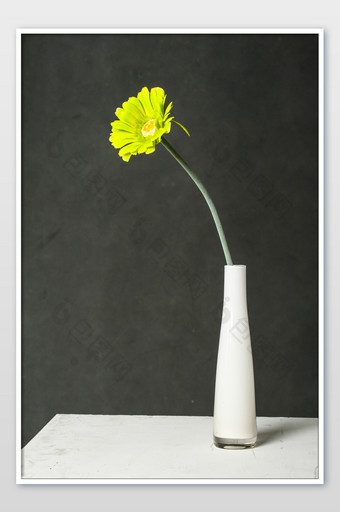 家居花瓶白色玻璃绿色小雏菊花艺摄影图图片