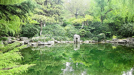 唯美济南趵突泉景区标志水流浇花喷头特写
