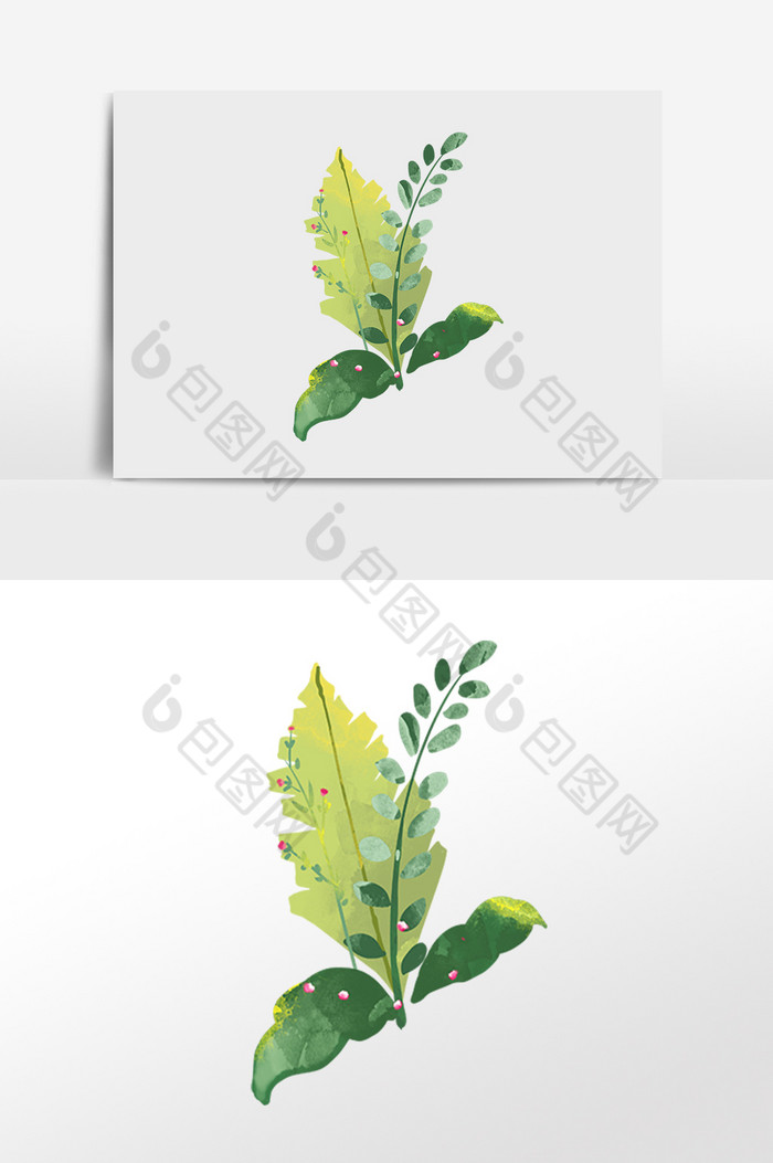 植物花草插画图片图片