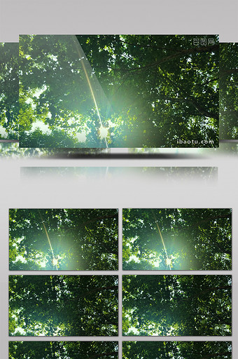 实拍绿色树林阳光穿越树叶缝隙视频图片