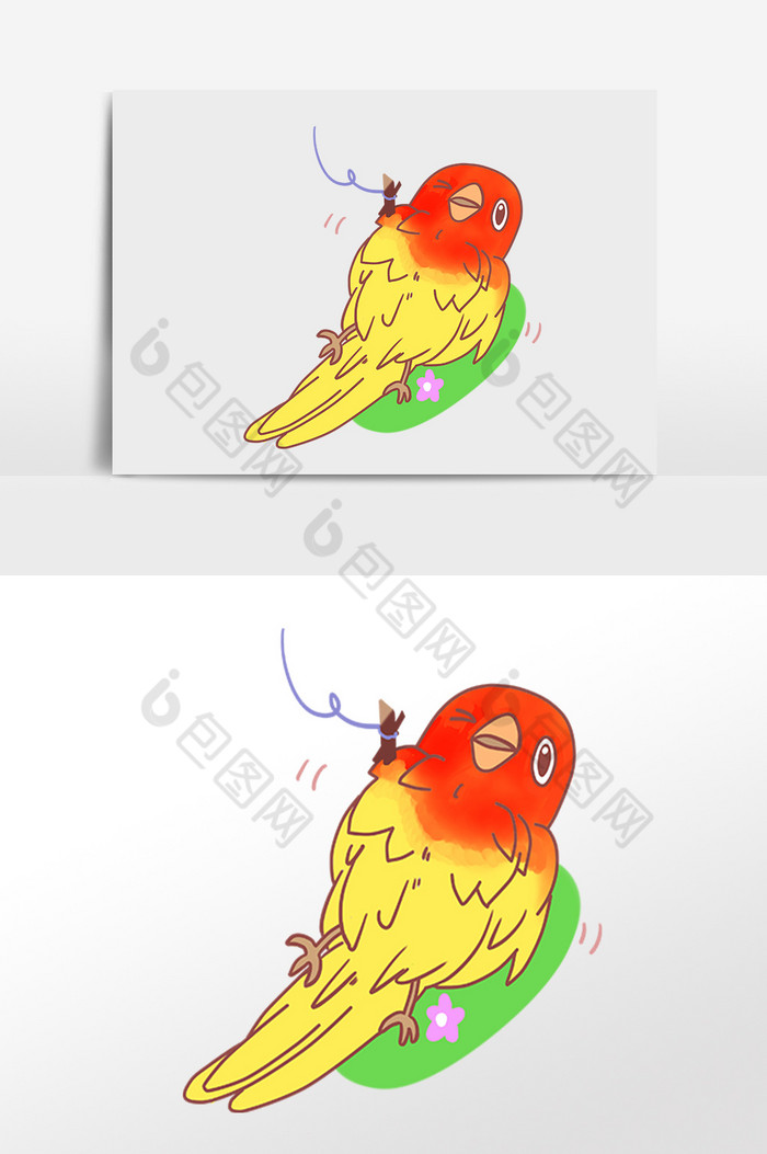 小动物鹦鹉插画图片图片