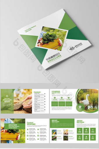 绿色时尚的果蔬画册模板设计图片