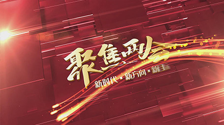 两会大气立体党政图文模板AE模板