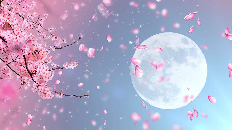 中国风唯美浪漫月下桃花动态背景视频