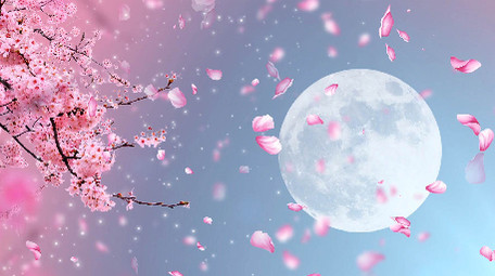 中国风唯美浪漫月下桃花动态背景视频