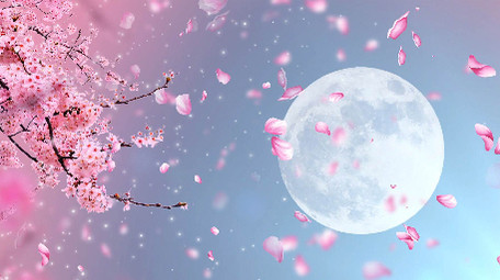 中国风唯美浪漫月下桃花动态背景视频
