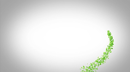 绿叶粒子茶道文化宣传片头片尾AE模板