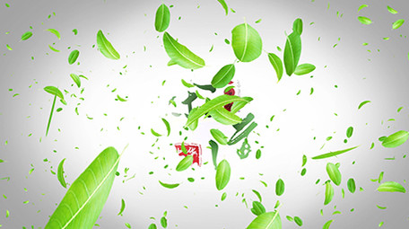 绿叶粒子茶道文化宣传片头片尾AE模板