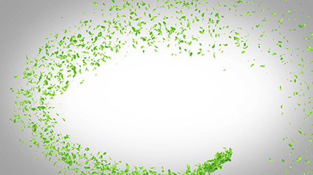 绿叶粒子茶道文化宣传片头片尾AE模板