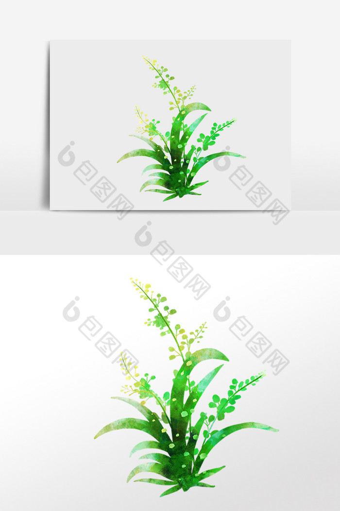 植物野花花草插画图片图片