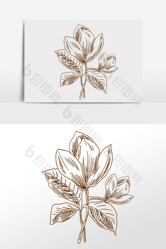 手绘线描素描绿色植物花朵插画图片