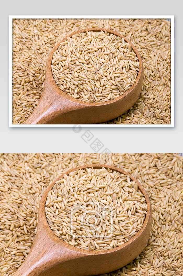 五谷杂粮勺子里的燕麦米横版图片图片
