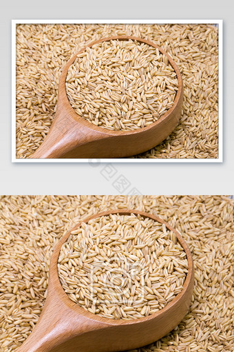 五谷杂粮勺子里的燕麦米横版图片