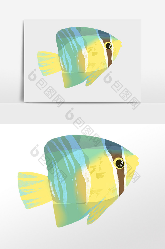 海洋水生物动物海鱼插画图片图片