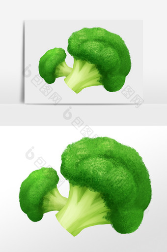 手绘农作物绿色蔬菜西蓝花插画图片