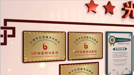 大气荣誉墙照片证书展示党政AE模板