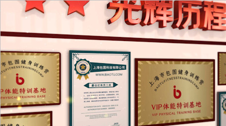 大气荣誉墙照片证书展示党政AE模板