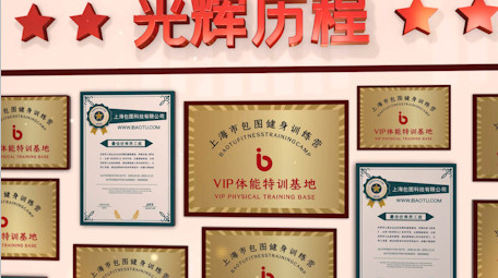 大气荣誉墙照片证书展示党政AE模板