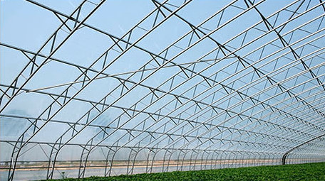 高清实拍现代化大棚种植栽培