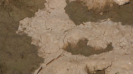 高清实拍烈日炎炎干涸土地上蚂蚁窝