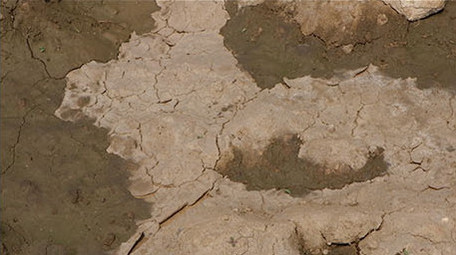 高清实拍烈日炎炎干涸土地上蚂蚁窝