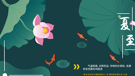 高端原创夏至二十四节气风景荷花冷饮MG