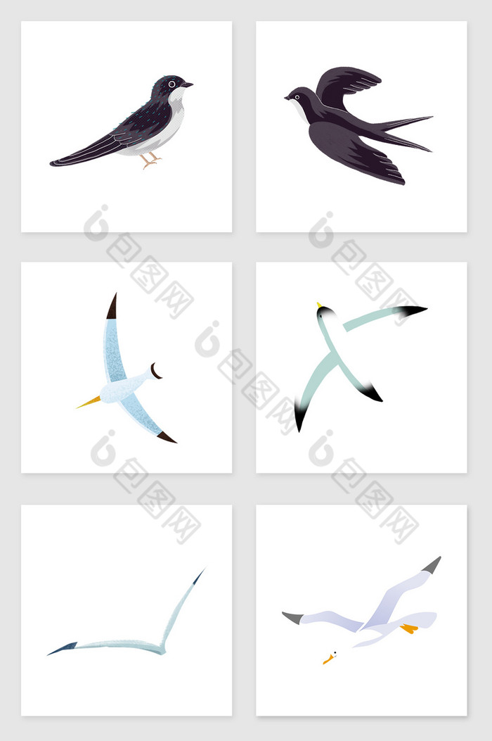海鸥和燕子套图插画图片图片