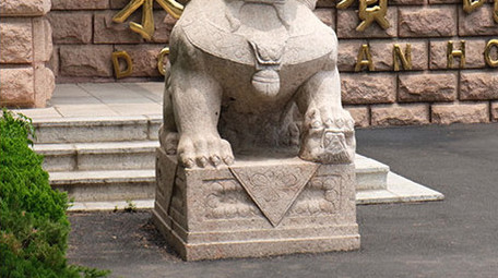 东山宾馆附近的各种树木