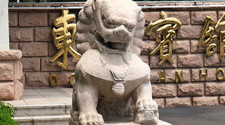 东山宾馆附近的各种树木