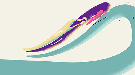 简洁MG栏目包装片头标志AE模板