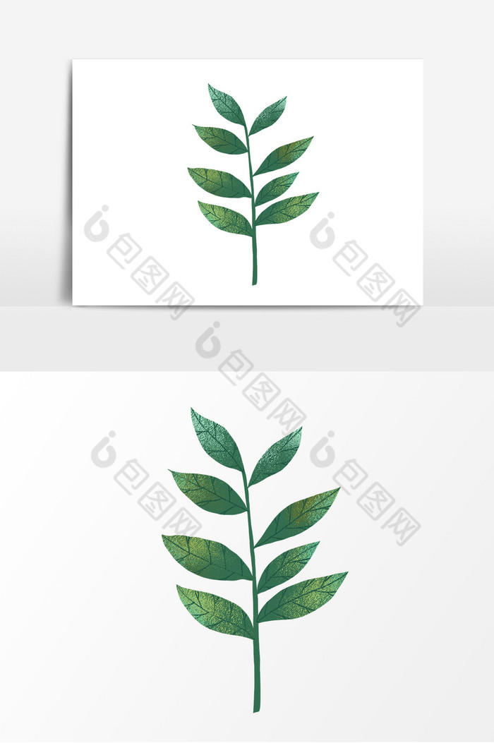 绿植树叶植物图片图片