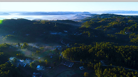 航拍光晕下的森林