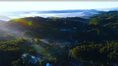 航拍光晕下的森林