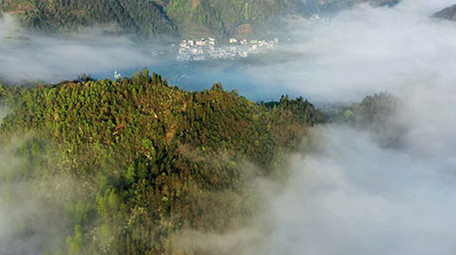 黄山云海清晨航拍视频群山环绕皖南风光