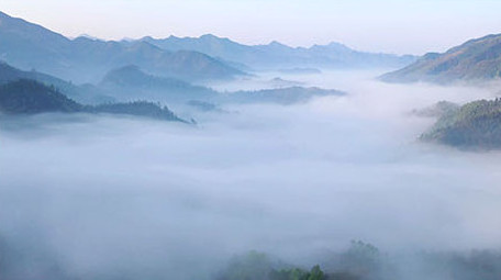 黄山云海清晨航拍视频群山环绕皖南风光