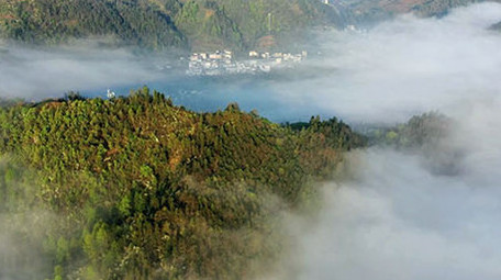 黄山云海清晨航拍视频群山环绕皖南风光