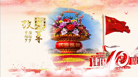 E3D红色大气党政图文AE模板