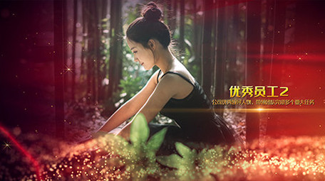 震撼大气党政红色唯美粒子图片人物介绍AE